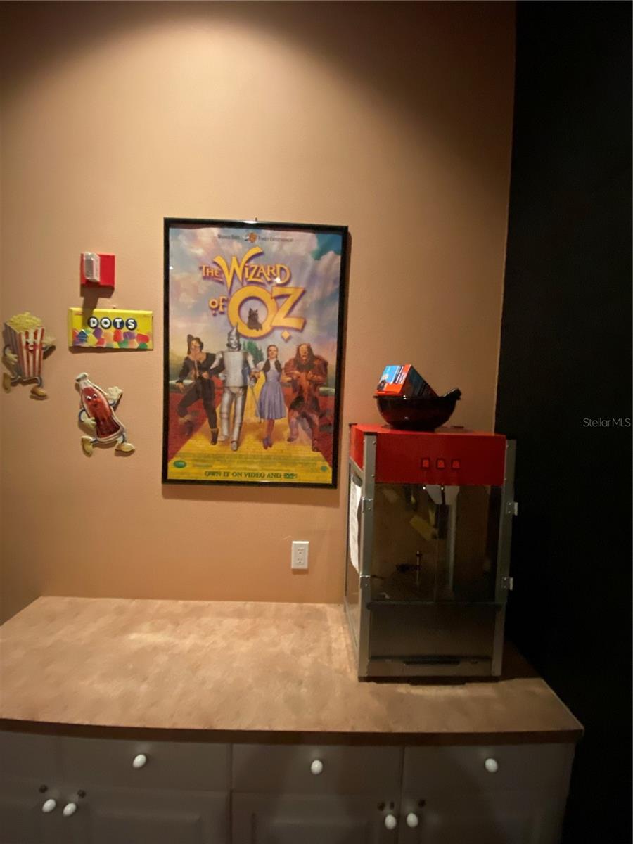 PINESTONE AT PALMER RANCH - Residential