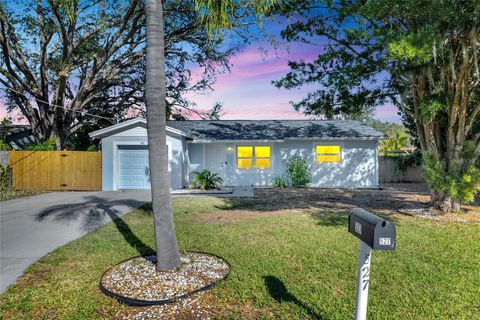 A home in APOLLO BEACH