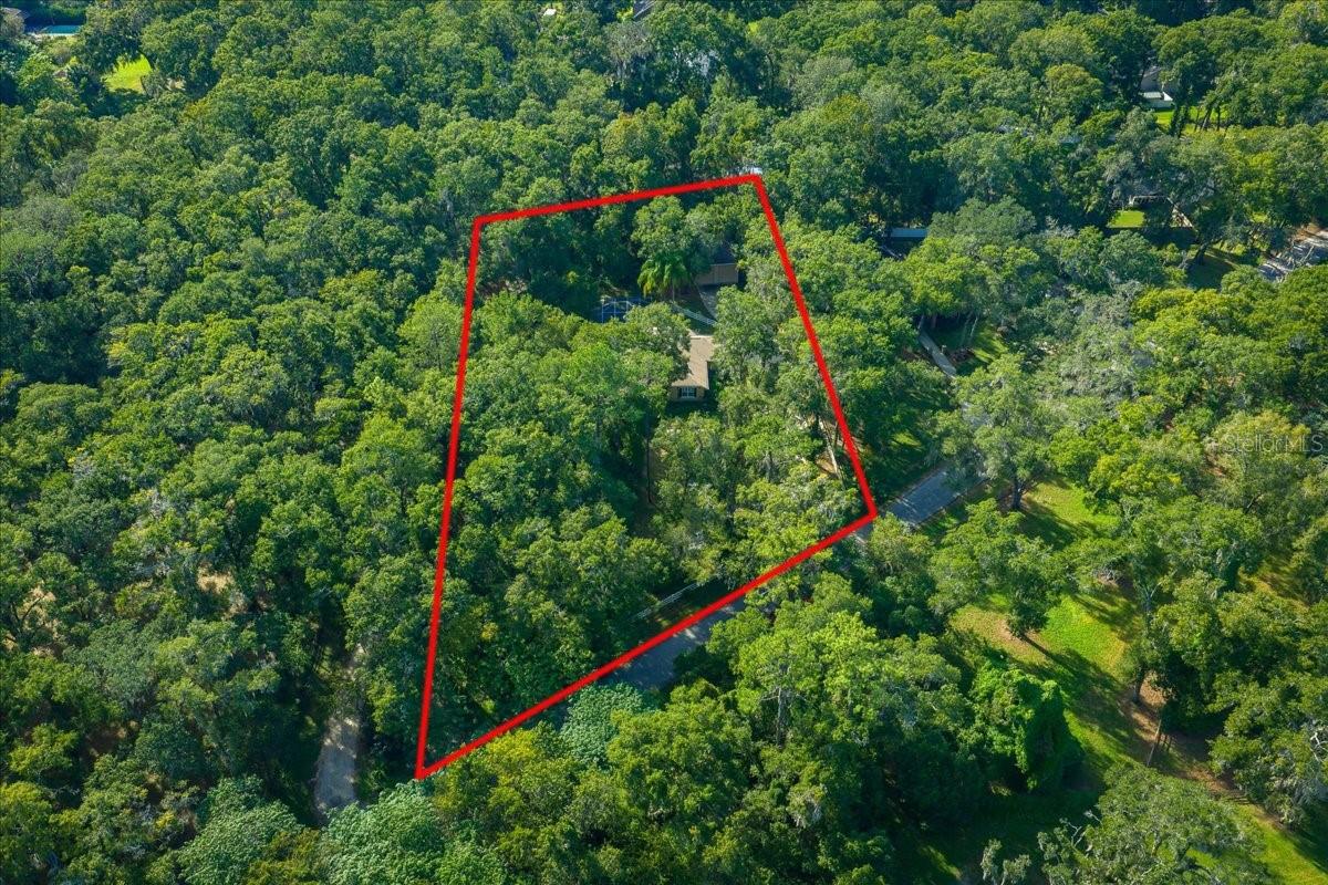 FLORIDA ORANGE GROVE CORP - Residential