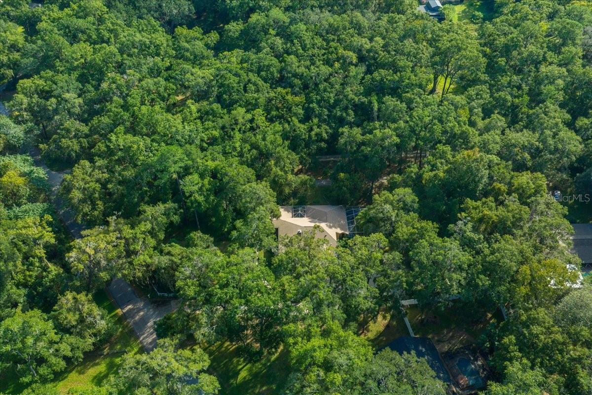 FLORIDA ORANGE GROVE CORP - Residential