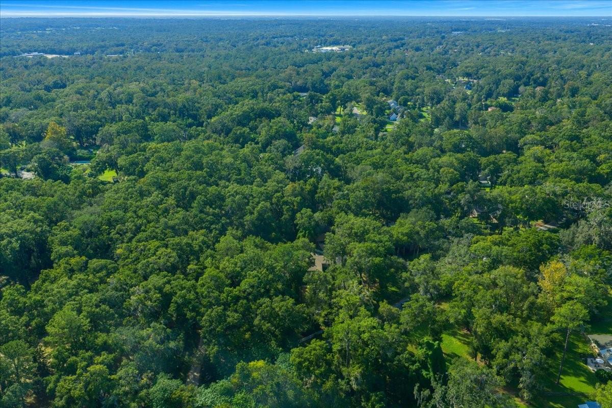 FLORIDA ORANGE GROVE CORP - Residential