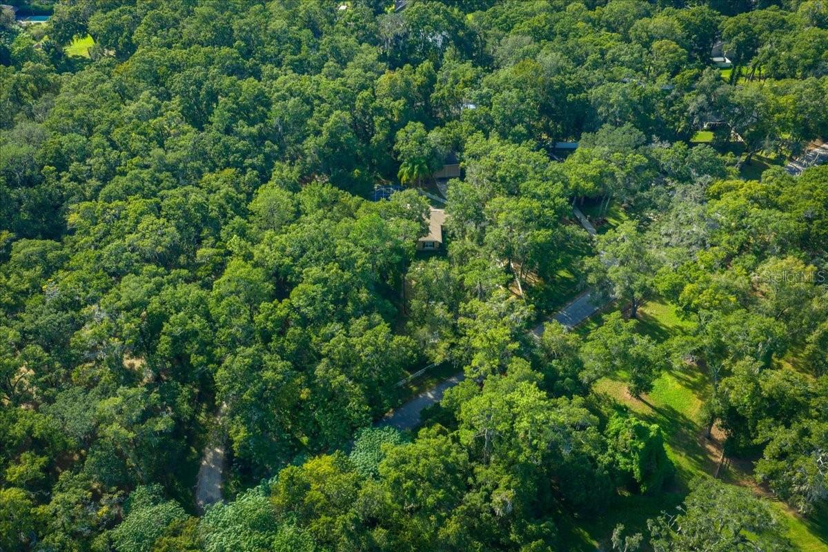 FLORIDA ORANGE GROVE CORP - Residential