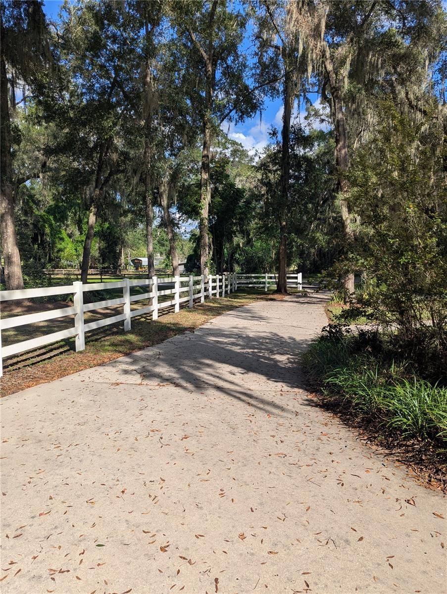 FLORIDA ORANGE GROVE CORP - Residential