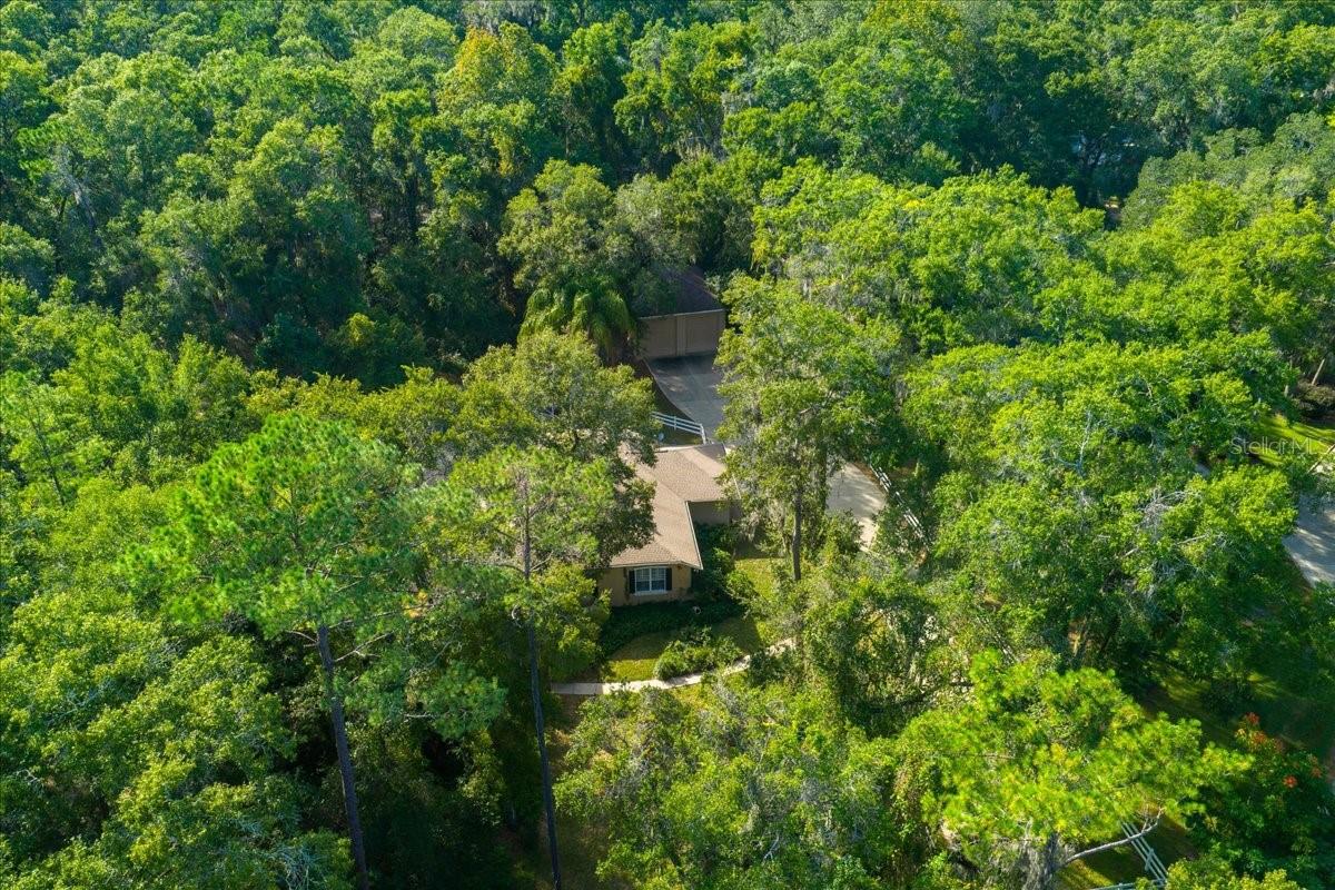 FLORIDA ORANGE GROVE CORP - Residential