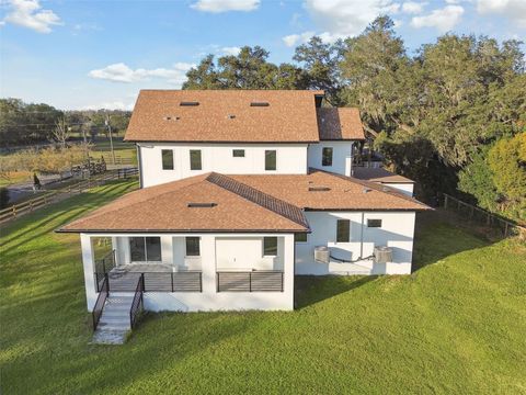 A home in PLANT CITY