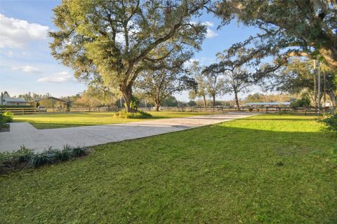 A home in PLANT CITY