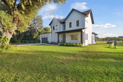 A home in PLANT CITY