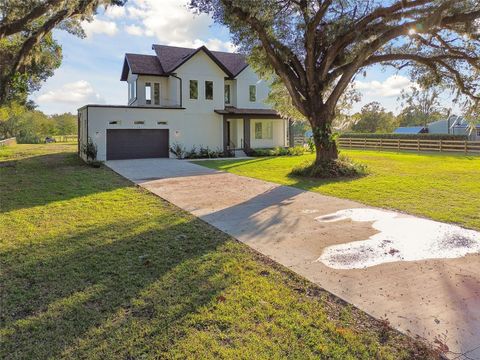 A home in PLANT CITY