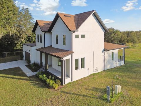 A home in PLANT CITY