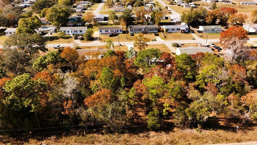 Build Near Lake Weir – No HOA, Quiet Florida Living.  Build your Florida getaway just minutes from Lake Weir in the charming town of Belleview! This .19-acre lot offers no HOA, quiet surroundings, and easy access to freshwater lake with boating, fishing, kayaking, scenic views and lakeside beaches. Enjoy nearby state parks and conservation land for hiking, camping, wildlife observation, and outdoor adventures.  This desirable location provides easy access to US-301 and US-441 and is within convenient driving distance of historic downtowns with dining, shops, festivals, local museums, and several golf courses, offering a great balance of nature and accessibility.  This buildable, high and dry lot is zoned R-1 which allows for the construction of a single-family dwelling and is situated in a no-flood-zone area. Electric is available at the road. Well & septic required. An excellent opportunity to enjoy Florida’s peaceful lake-country lifestyle at an affordable price.  Closest major city is Ocala (10 miles), Orlando (55 miles) and Tampa (84 miles). Nearby attractions are Lake Weir, Silver Springs State Park, Shady Brook Recreation Area, Lake Griffin State Park, Appleton Museum of Art, Marion Heritage Museum, and The Villages.