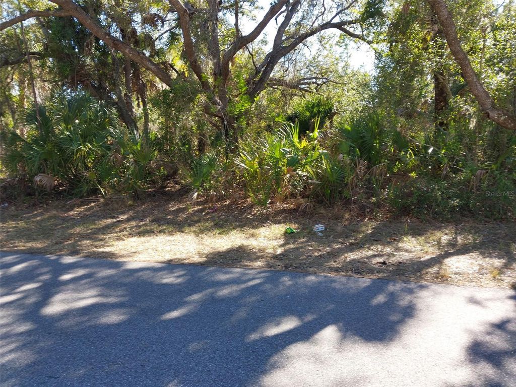 Photo of 343 Bamboo Dr, Port Charlotte, FL 33953 (MLS # D6146102)