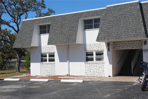 3425 TRICON LANE 14 HOLIDAY FL 34691