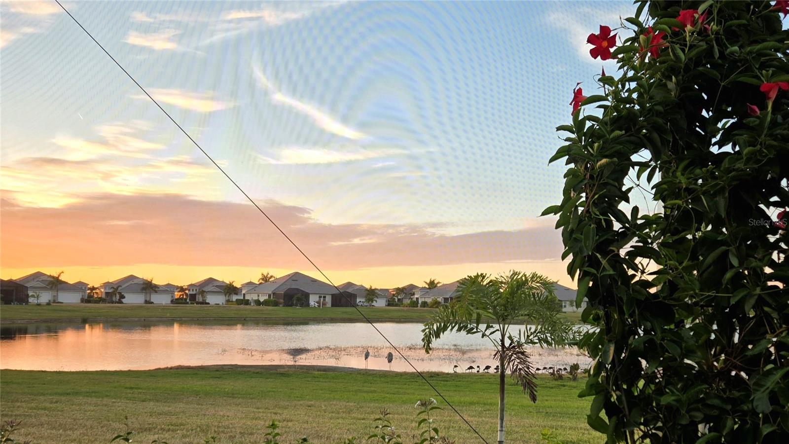 WATERCOLOR PLACE - Residential