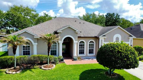 Photo of 529 Belhaven Falls Drive, Ocoee, FL 34761 (MLS # O6410324)