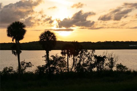 A home in MONTVERDE