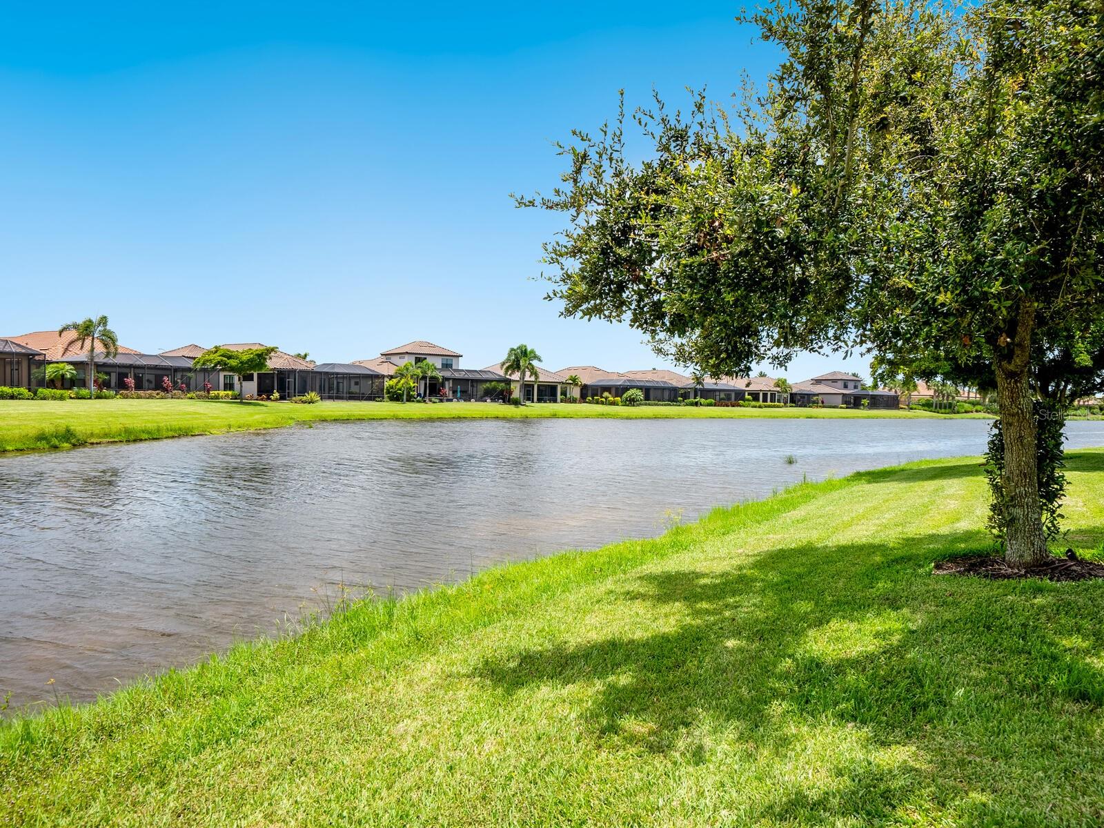 COBBLESTONE ON PALMER RANCH - Residential