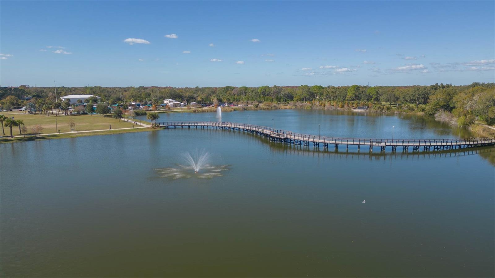 CARROLLWOOD VILLAGE PH TWO - Residential