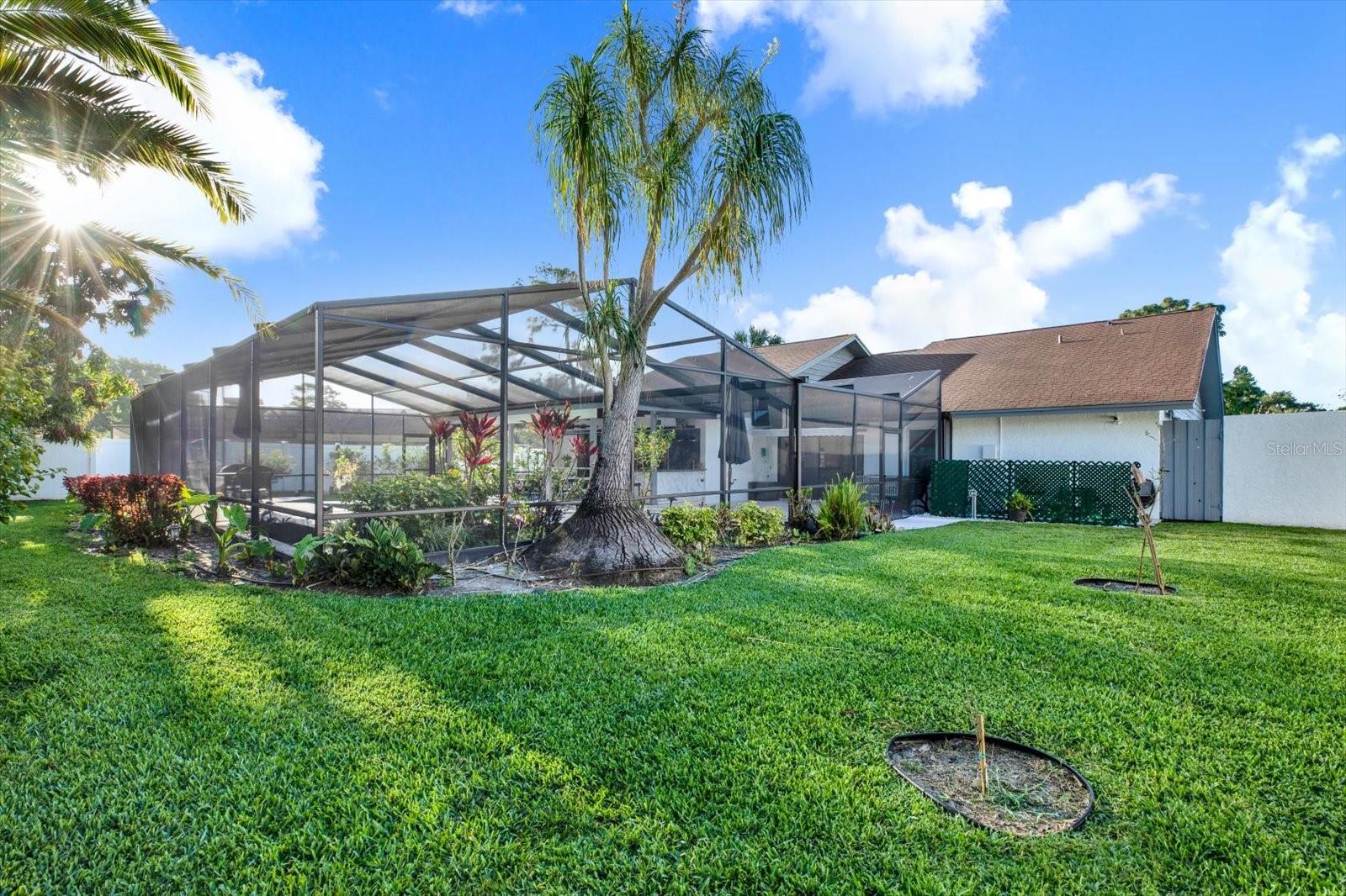 CARROLLWOOD VILLAGE PH TWO - Residential