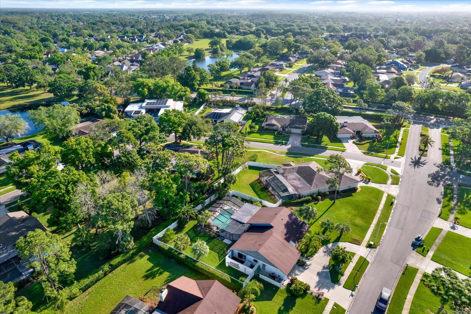 CARROLLWOOD VILLAGE PH TWO - Residential