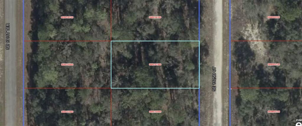 Photo of 31 SE 132 Court, Dunnellon, FL 34431 (MLS # W7882998)