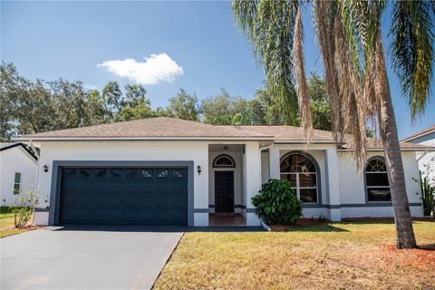 A home in KISSIMMEE