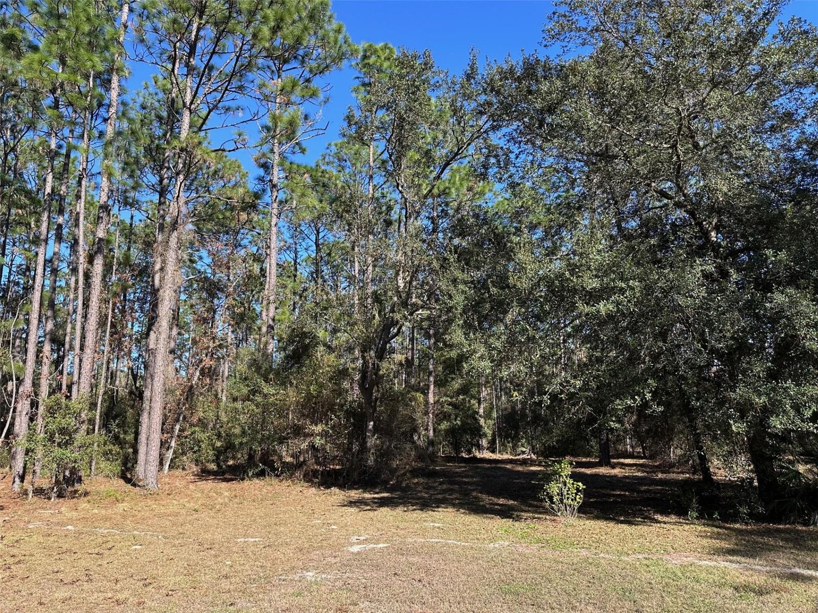 WOODLAND ACRES SUB - Residential