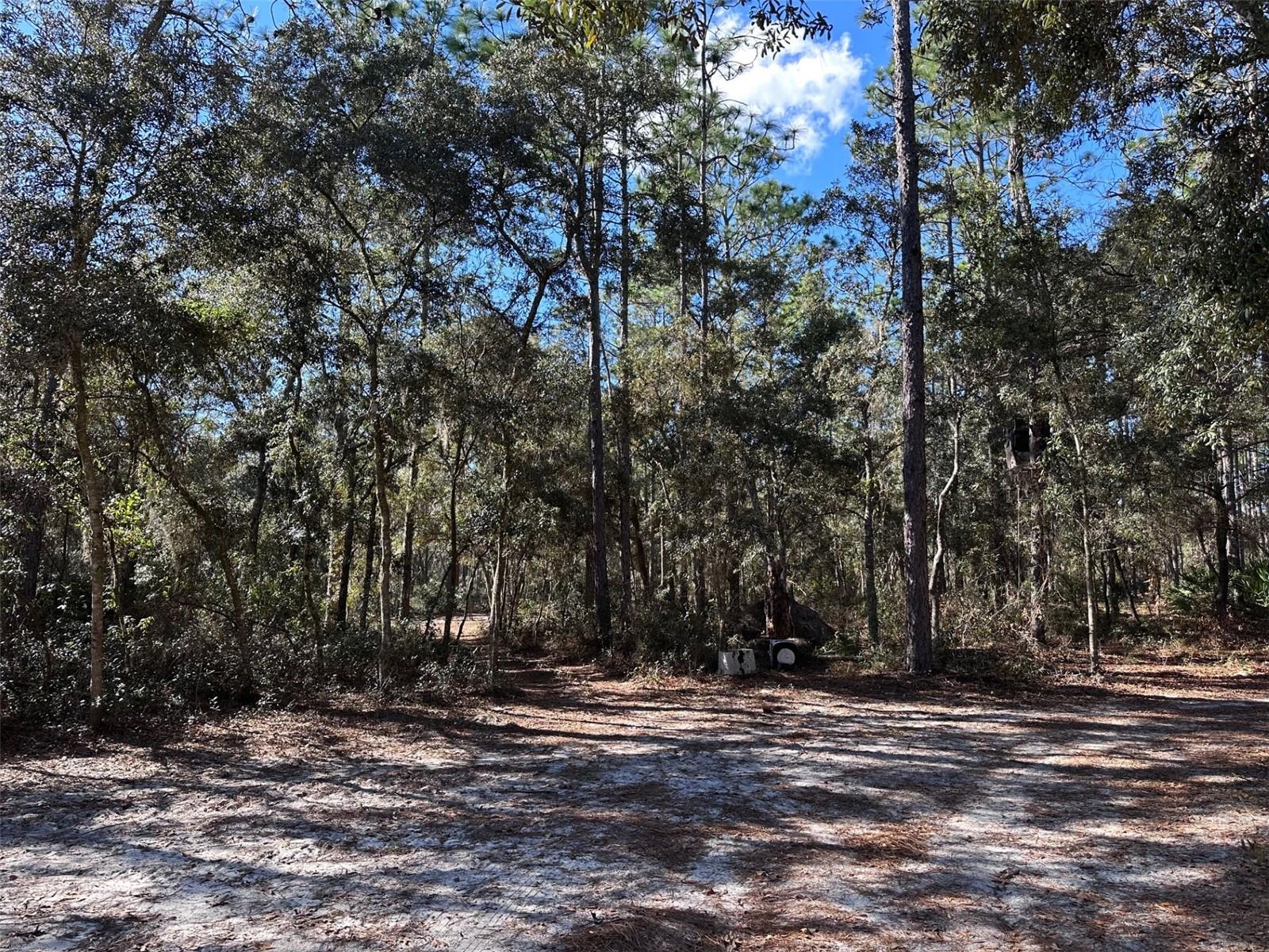 WOODLAND ACRES SUB - Residential