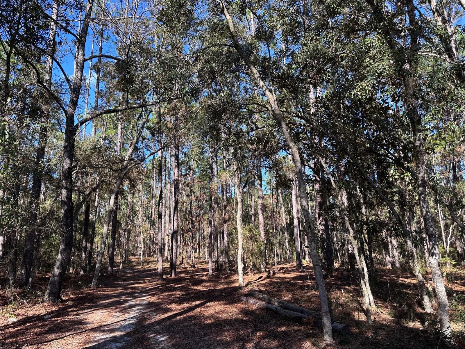 WOODLAND ACRES SUB - Residential