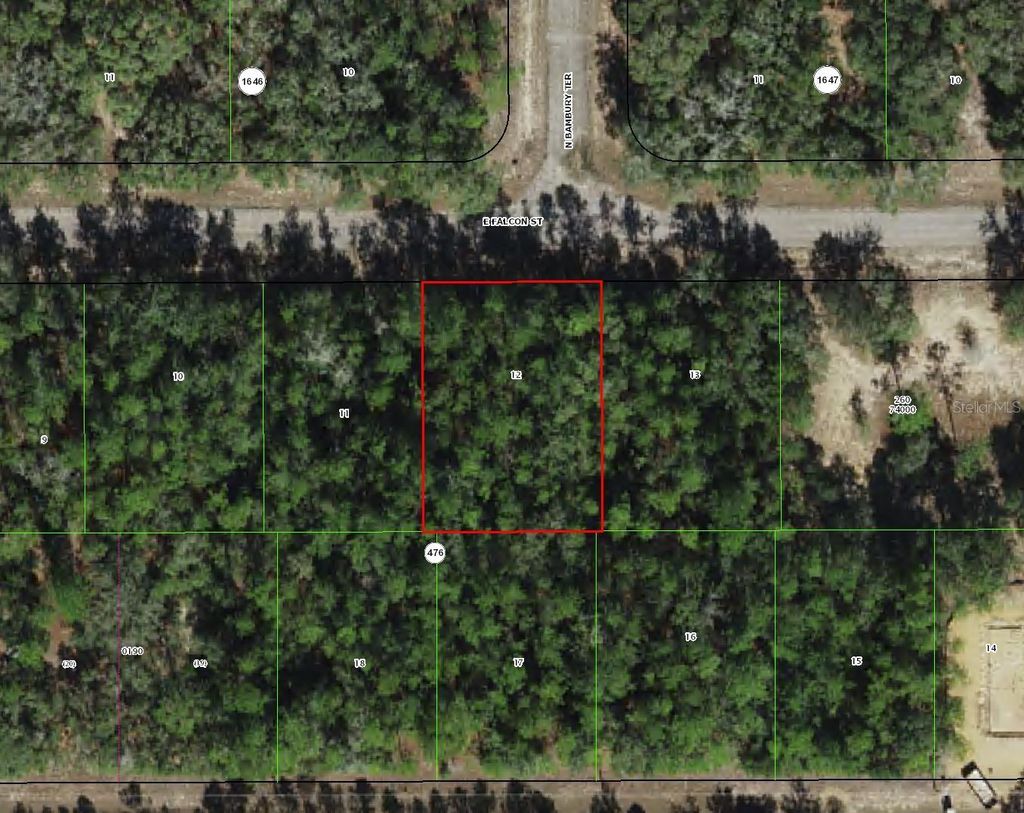 Photo of 346 E Falcon Street, Dunnellon, FL 34434 (MLS # TB8415667)