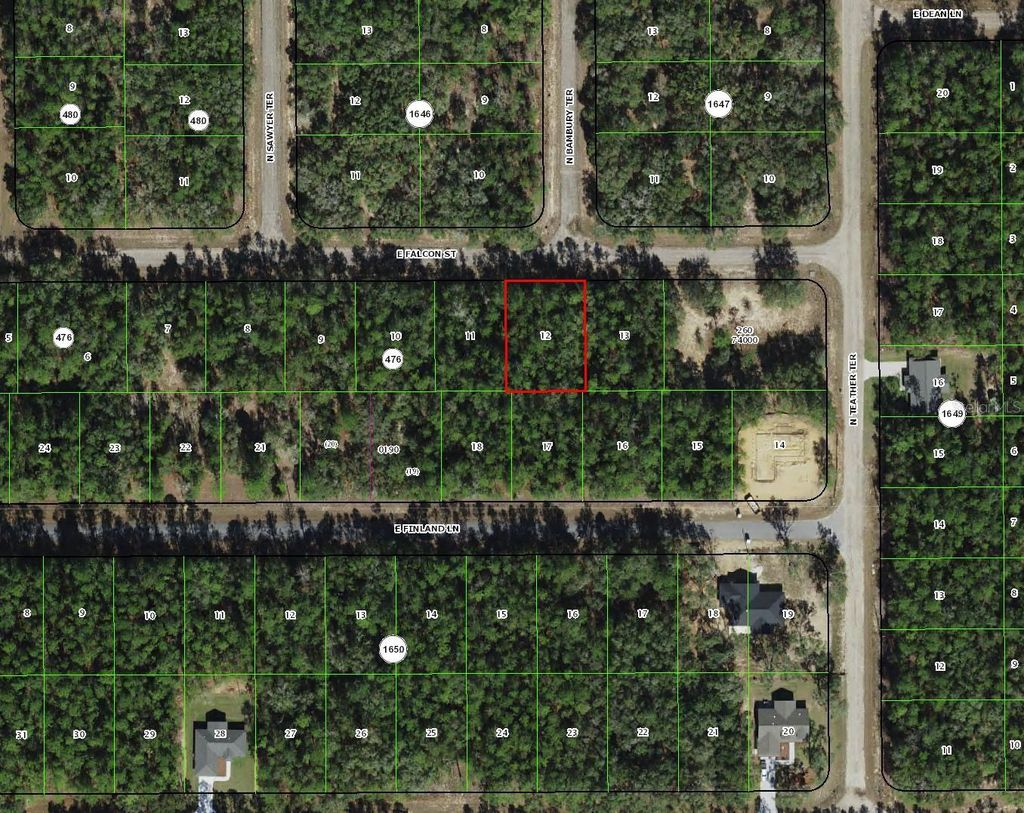 Photo of 346 E Falcon Street, Dunnellon, FL 34434 (MLS # TB8415667)