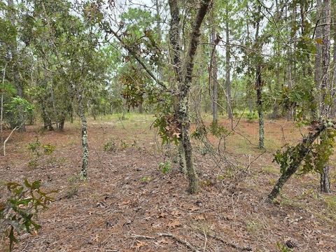 SW MANGO LANE DUNNELLON FL 34432