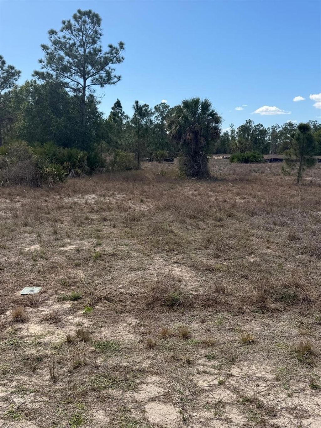 Photo of 1511 Columbus Avenue, Lehigh Acres, FL 33972 (MLS # TB8489461)