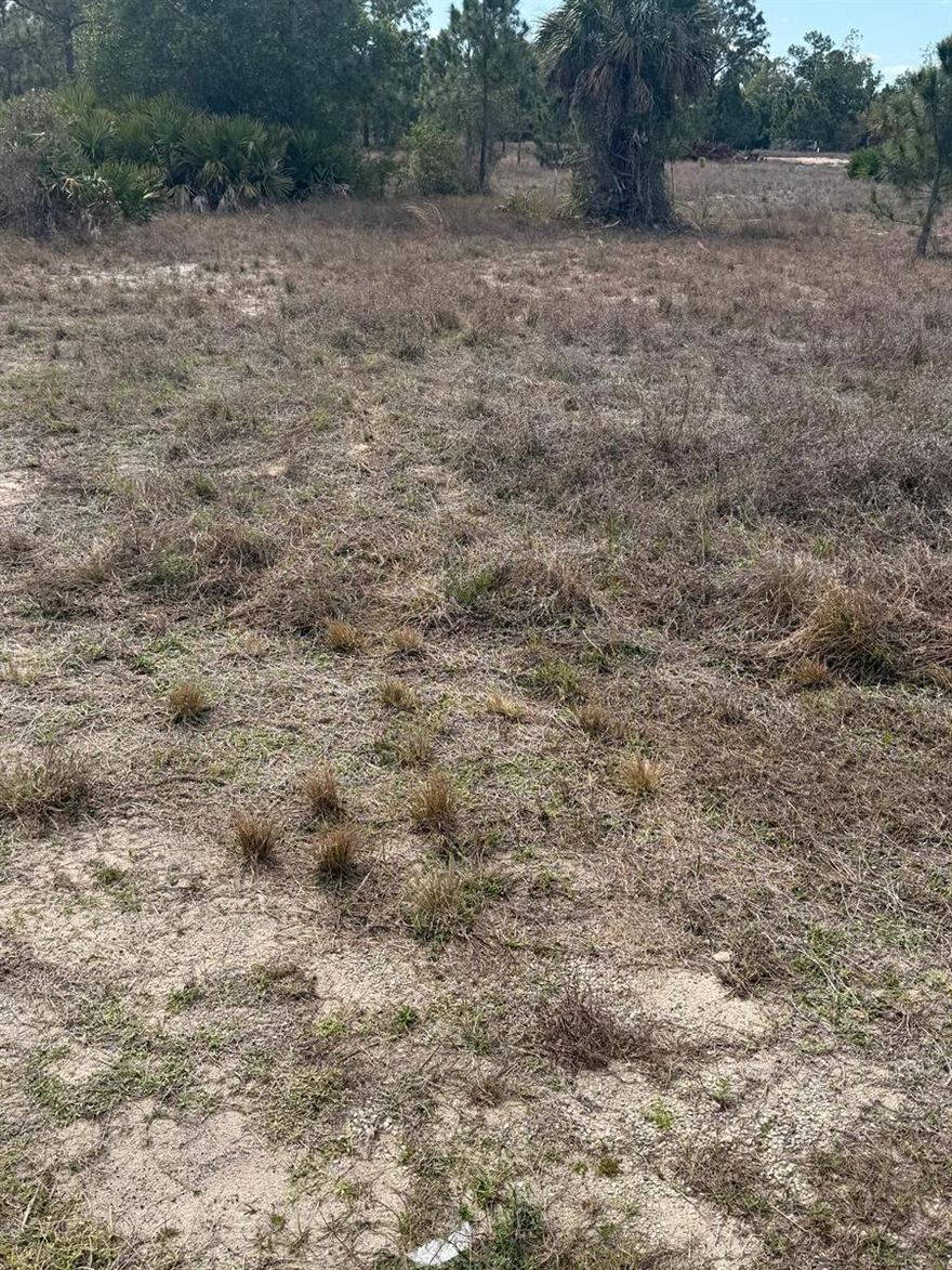 Great opportunity in Lehigh Acres! This residential lot offers a prime location in a growing area of Lee County. The property is situated on a paved road with easy access to main highways, schools, shopping, and dining. Ideal for building your future home or as a long-term investment. No HOA restrictions. Buyer to verify all information with the county.