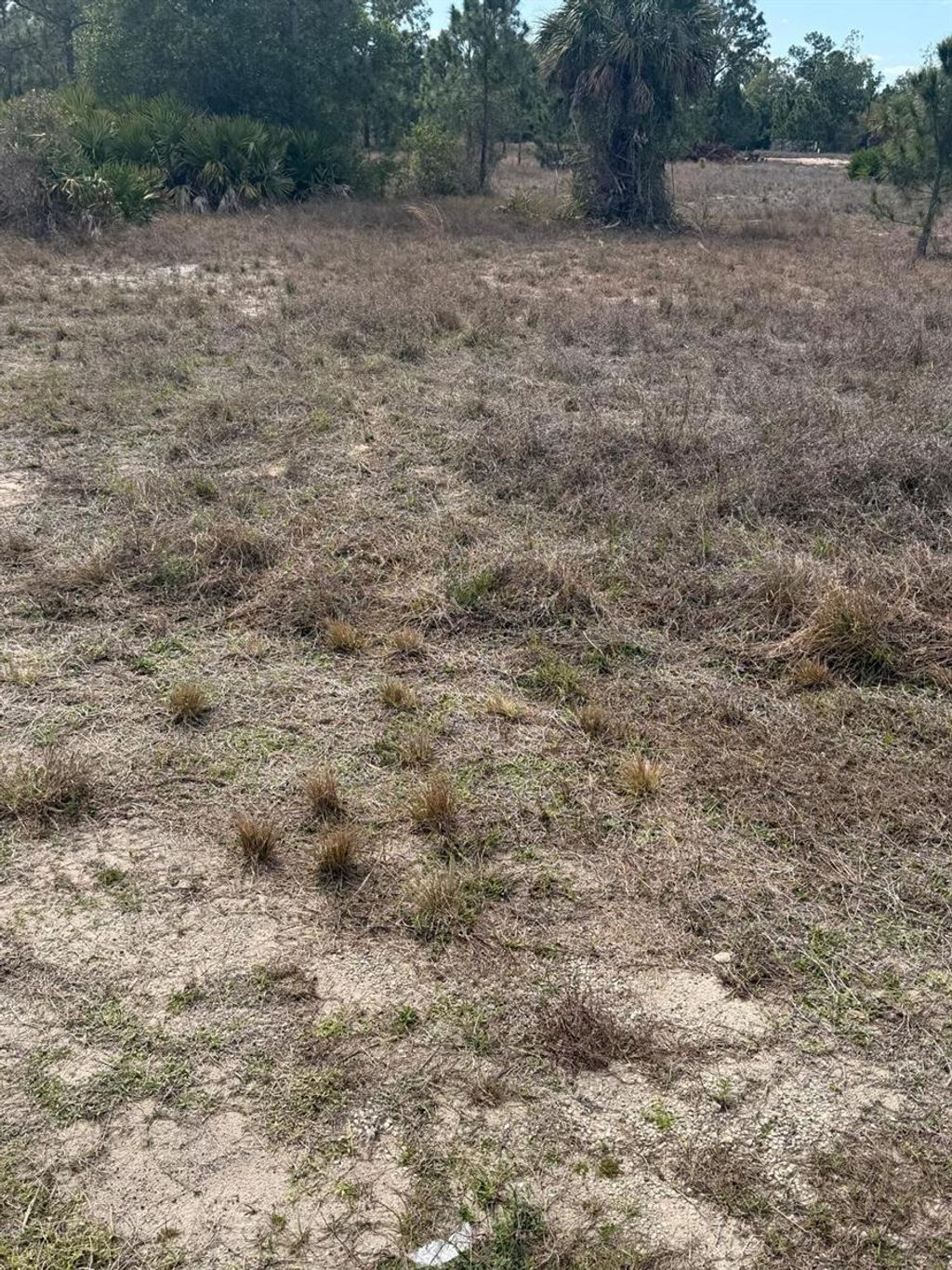 Photo of 1511 Columbus Avenue, Lehigh Acres, FL 33972 (MLS # TB8489461)