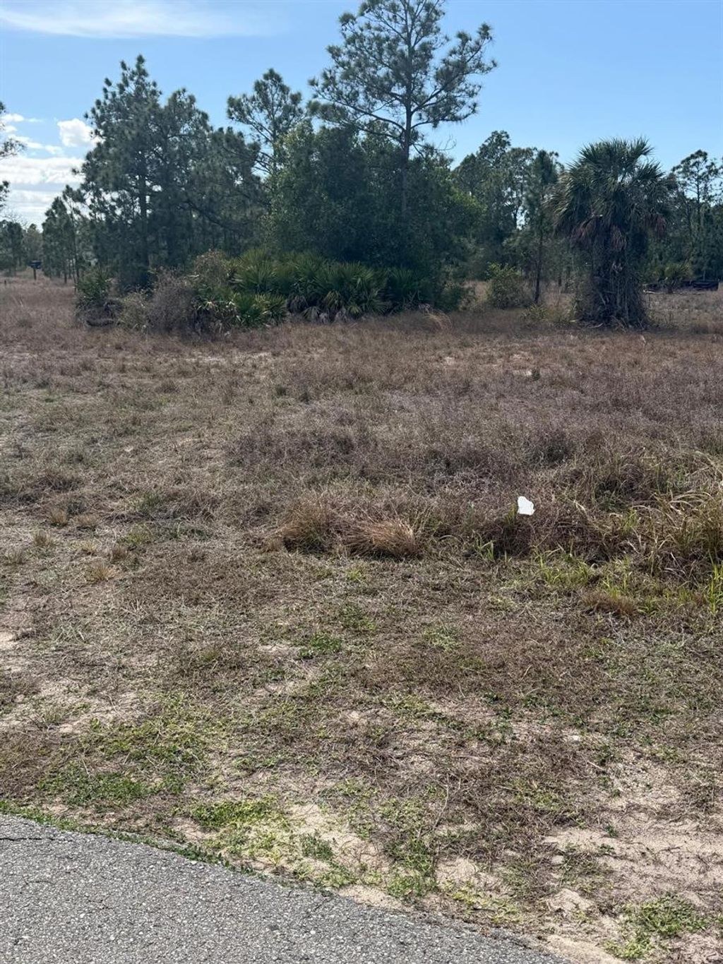 Photo of 1511 Columbus Avenue, Lehigh Acres, FL 33972 (MLS # TB8489461)