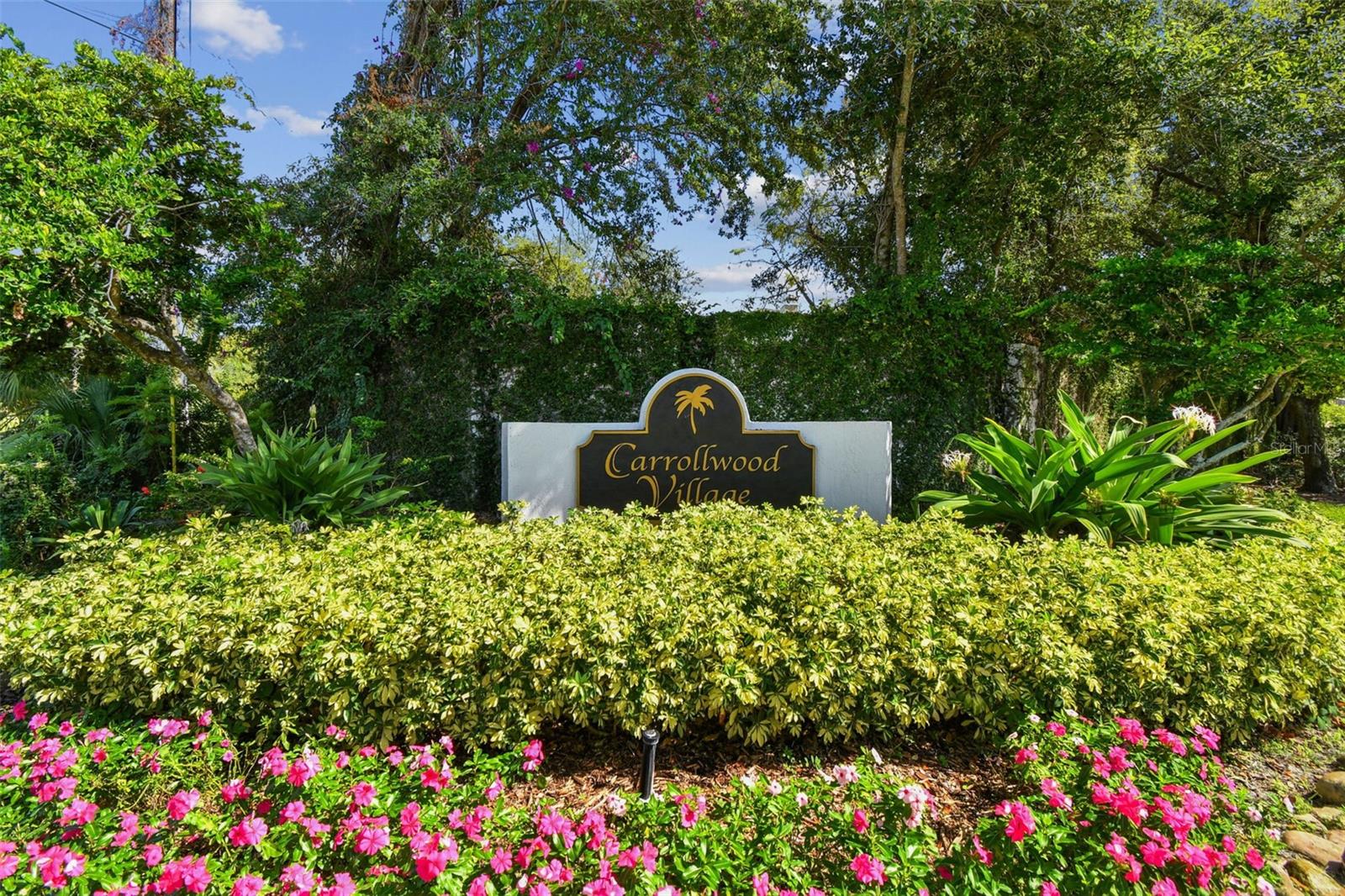 TOP OF THE VILLAGE - Residential