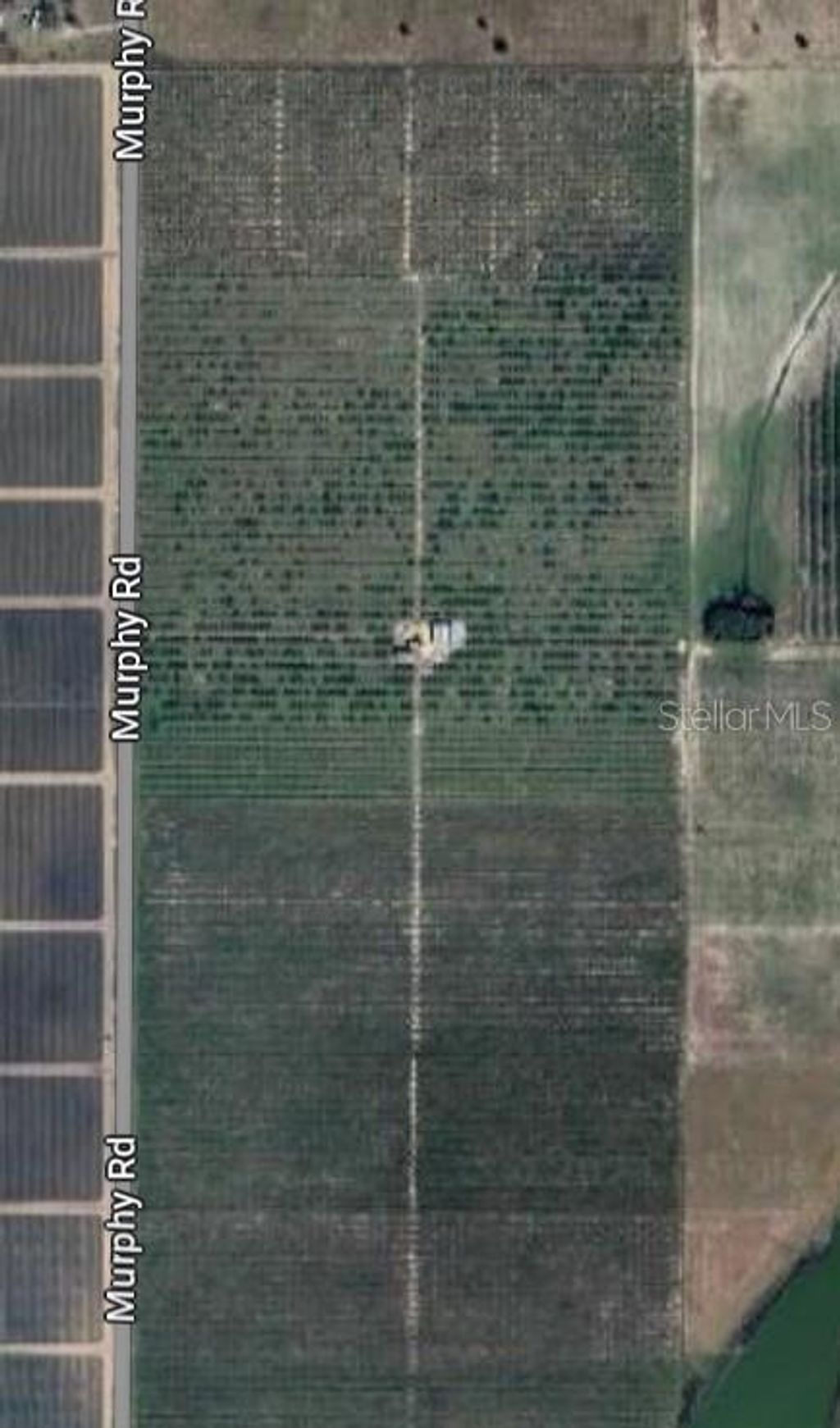 Photo of Murphy Road, Bartow, FL 33830 (MLS # TB8356597)