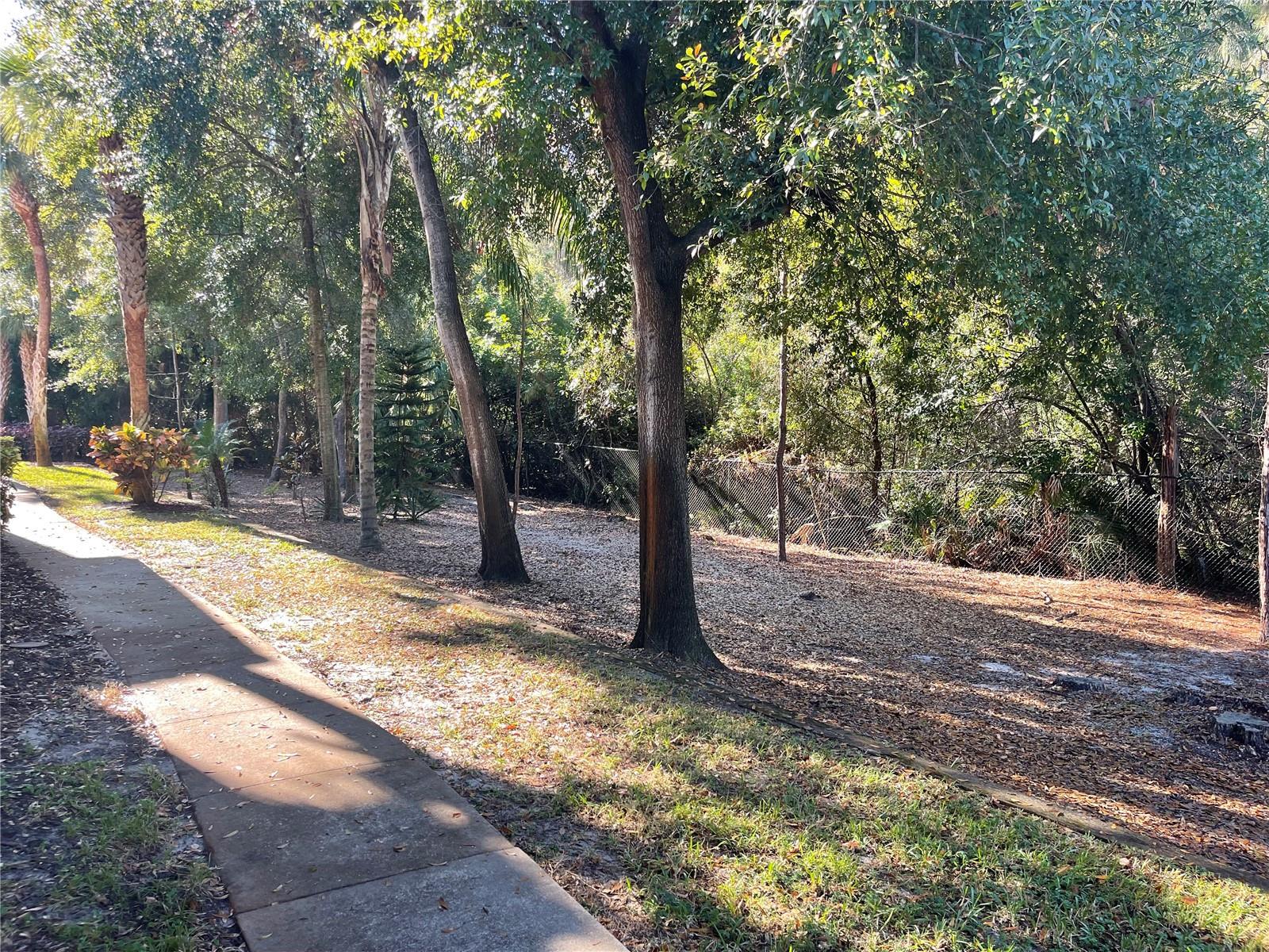 TUSCANY AT INNISBROOK CONDO - Residential