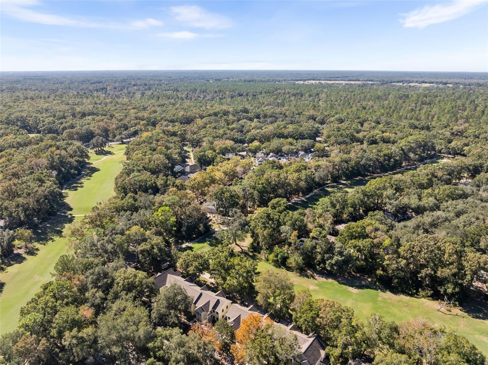 HAILE PLANTATION/CHICKASAW WAY - Residential