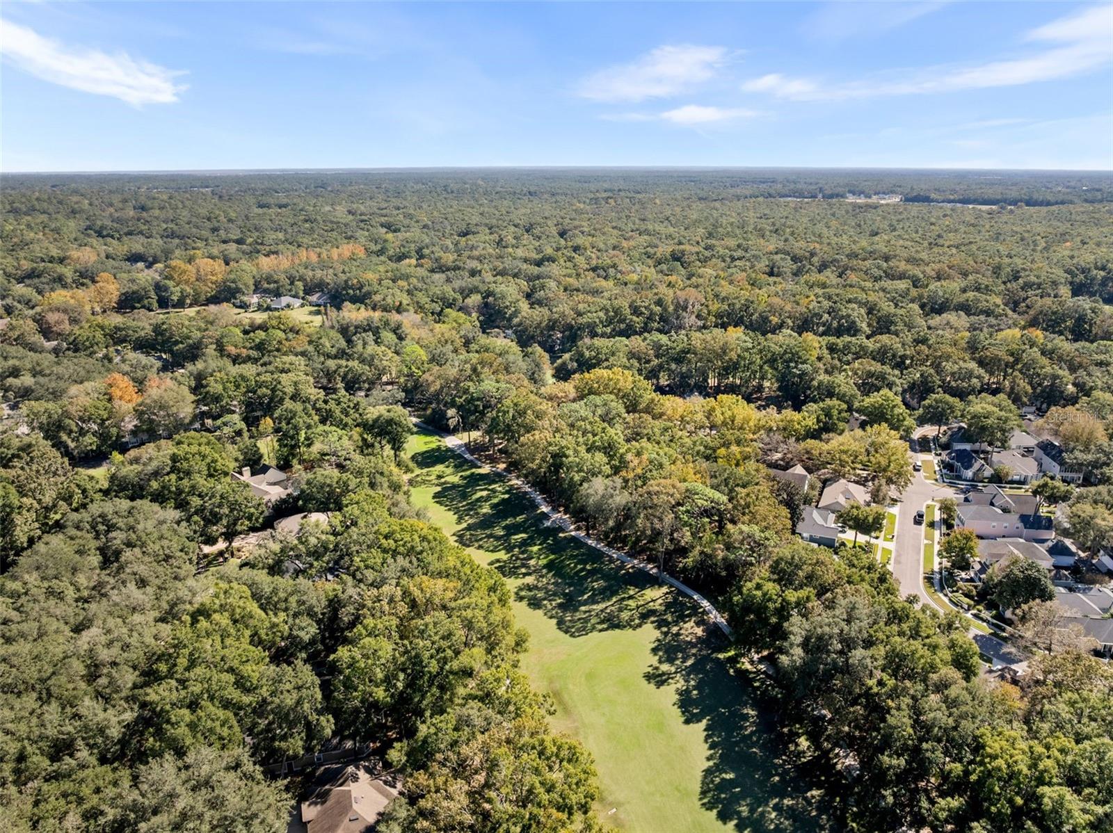 HAILE PLANTATION/CHICKASAW WAY - Residential