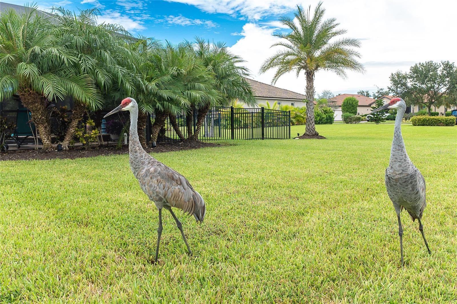 ROSEDALE ADD PH II - Residential