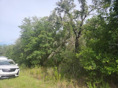 Lot 3 SW NECTARINE LANE DUNNELLON FL 34431