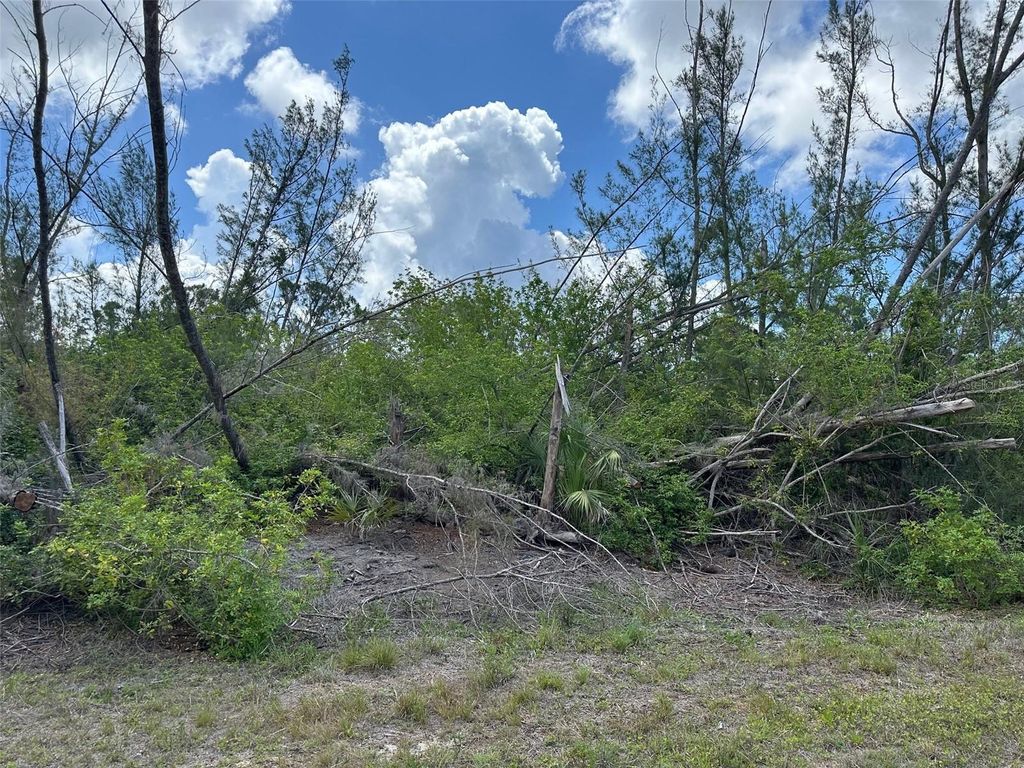 Photo of 10792 Hatchet Circle, Port Charlotte, FL 33981 (MLS # C7510553)