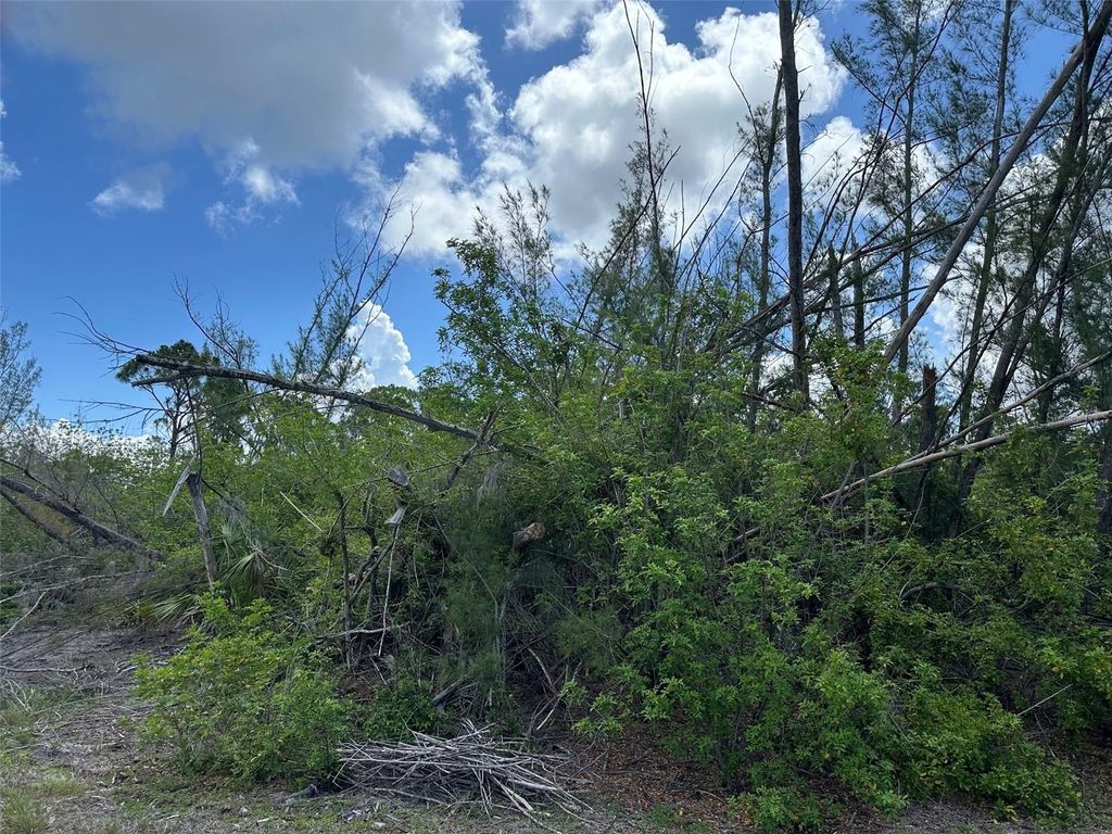 Photo of 10792 Hatchet Circle, Port Charlotte, FL 33981 (MLS # C7510553)