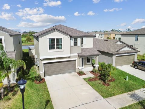 A home in APOLLO BEACH