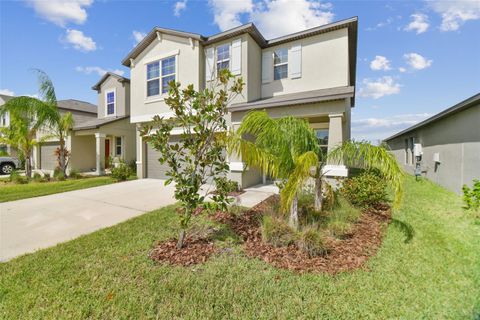 A home in APOLLO BEACH