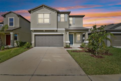 A home in APOLLO BEACH