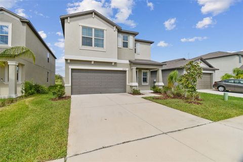 A home in APOLLO BEACH