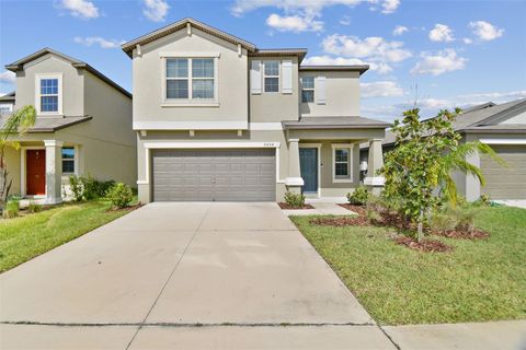 A home in APOLLO BEACH