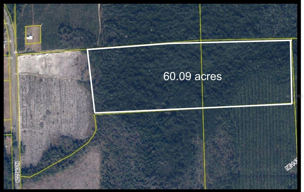 Photo of Tbd N County Rd 229, Raiford, FL 32083 (MLS # GC534420)